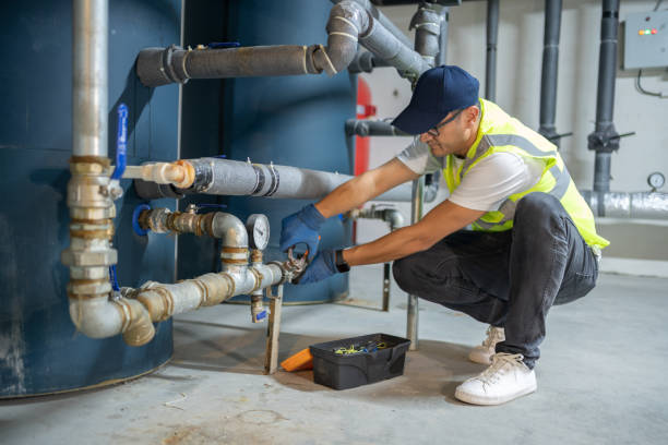 Best Plumbing System Maintenance  in Web, AL